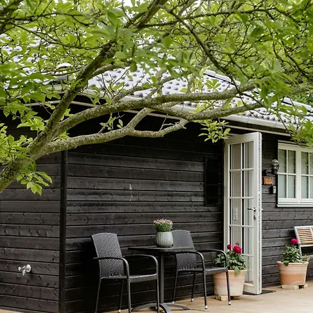 Among Trees With Architectural Flair *