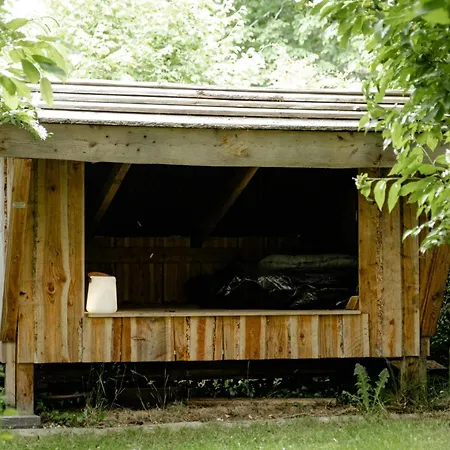 Hébergement de vacances Among Trees With Architectural Flair *