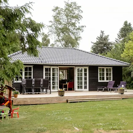 Among Trees With Architectural Flair