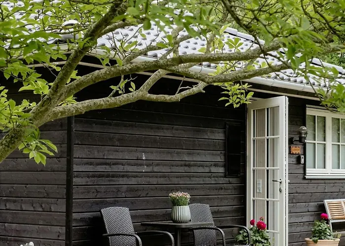 Among Trees With Architectural Flair *